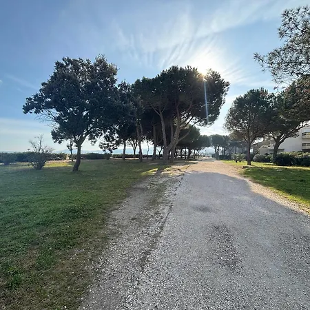 Apartment Argeles-sur-mer T2 En Rdc Avec Terrasse & Parking Pres - Fr-1-309-553 Plage dʼArgelès